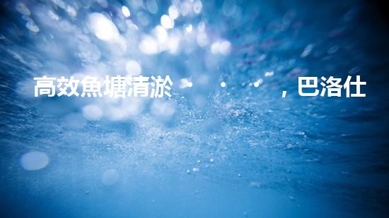 高效魚塘清淤，巴洛仕設(shè)備助力生態(tài)養(yǎng)殖